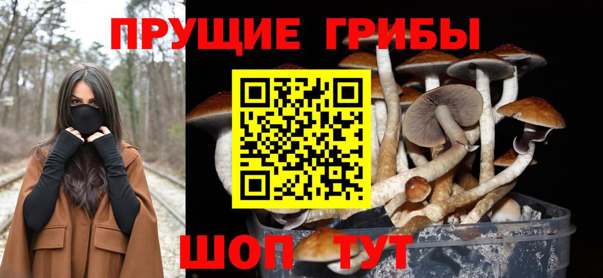 где продают   Псилоцибиновые грибы мухоморы  Вход с VPN  Псилоцибиновые грибы Magic Shrooms  Армавир 